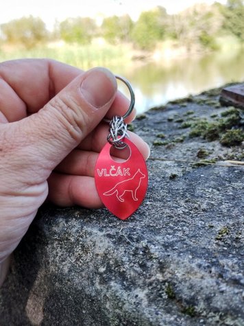 Vlčák - šupina s obrázkem, přívěsek na klíče